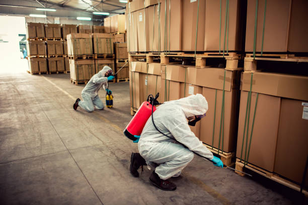 Best Mosquito Control Services  in Gruver, TX