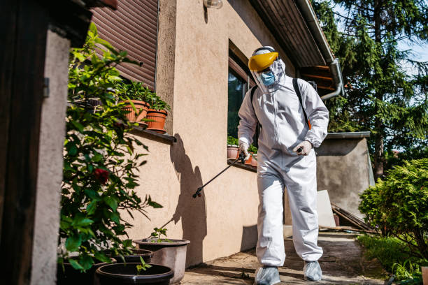 Best Cockroach Control Services  in Gruver, TX