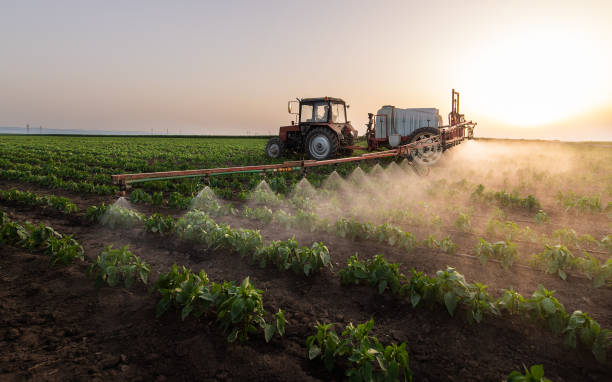 Best Affordable Pest Control Services  in Gruver, TX