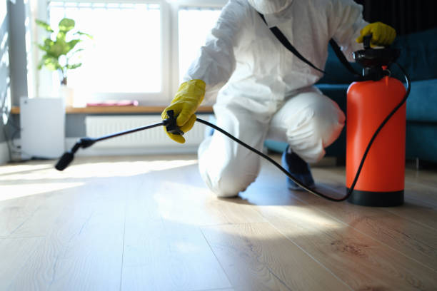 Trusted Gruver, TX Pest Control Experts