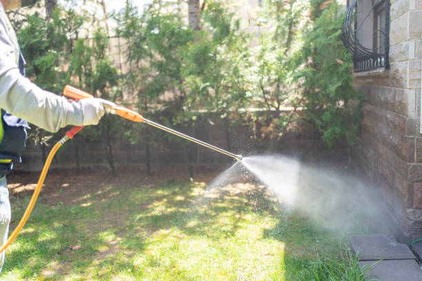 Best Bed Bug Extermination  in Gruver, TX