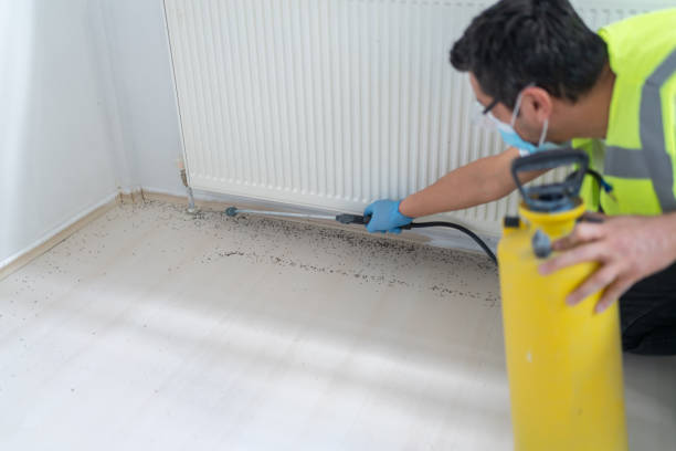 Best Local Pest Control Services  in Gruver, TX